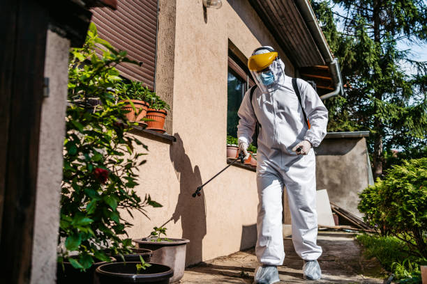 Professional Pest Control in North Braddock, PA