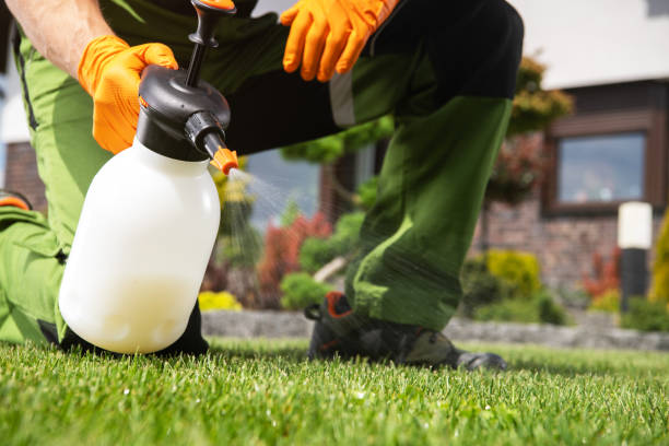 Best Pest Control Near Me in North Braddock, PA